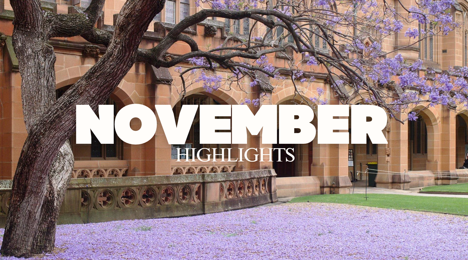 November at chockadoo