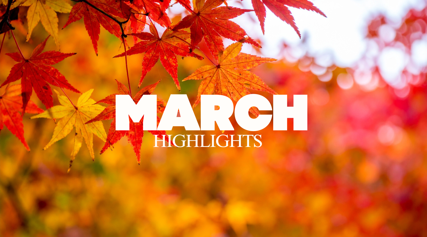🍂 March at Chockadoo