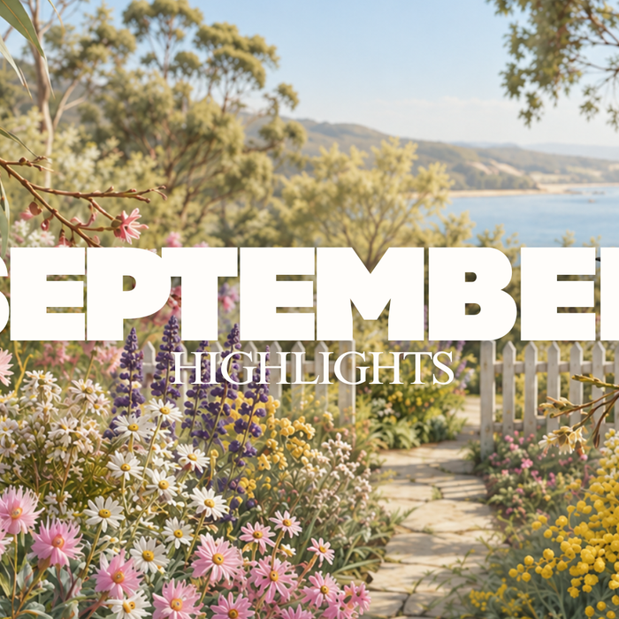 September at chockadoo