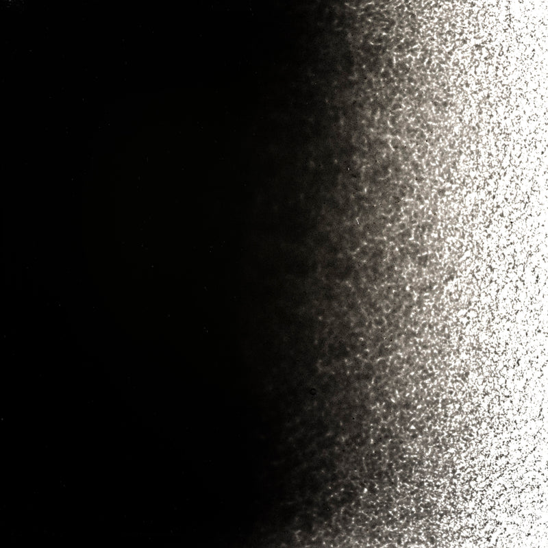 Black Opaque Bullseye Powder 100