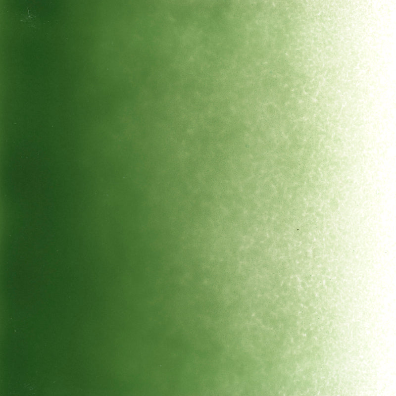 Dark Forest Green Opaque Bullseye Powder 141