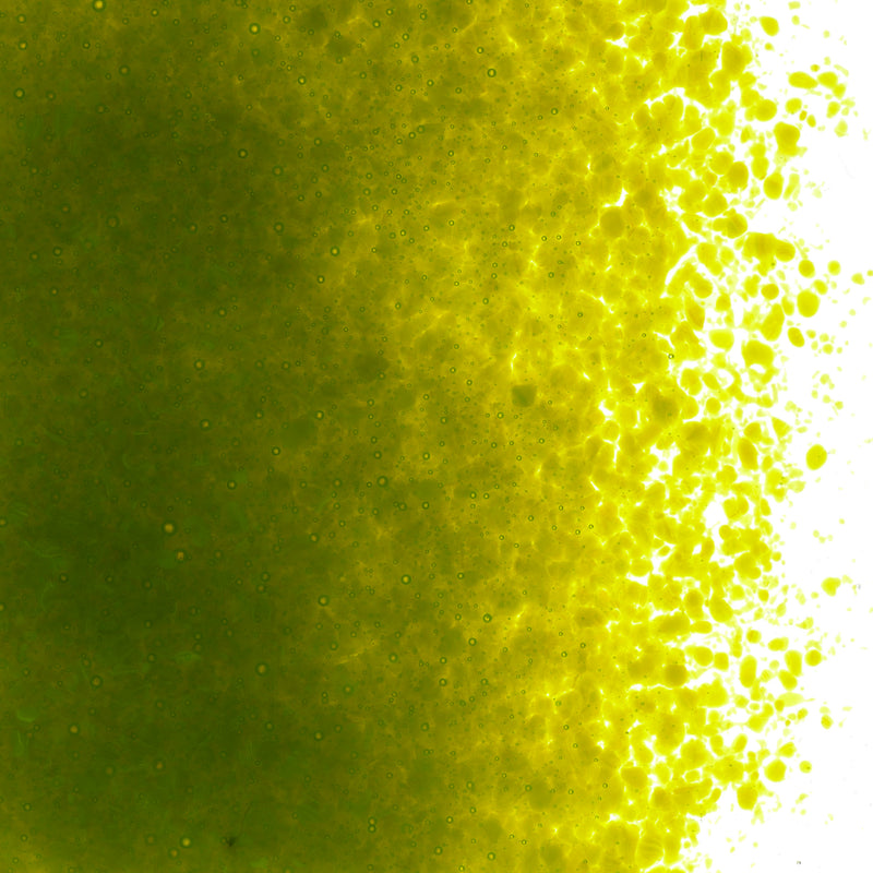 Avocado Green Opaque Bullseye Fine Frit 222