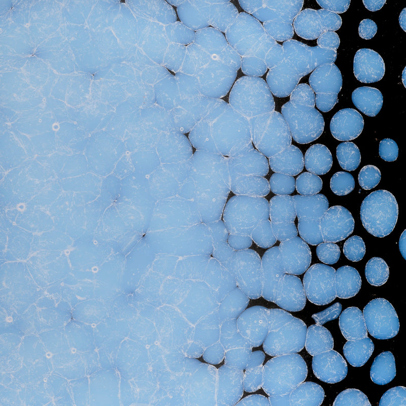 Opaline Striker Opaque Bullseye Frit 403