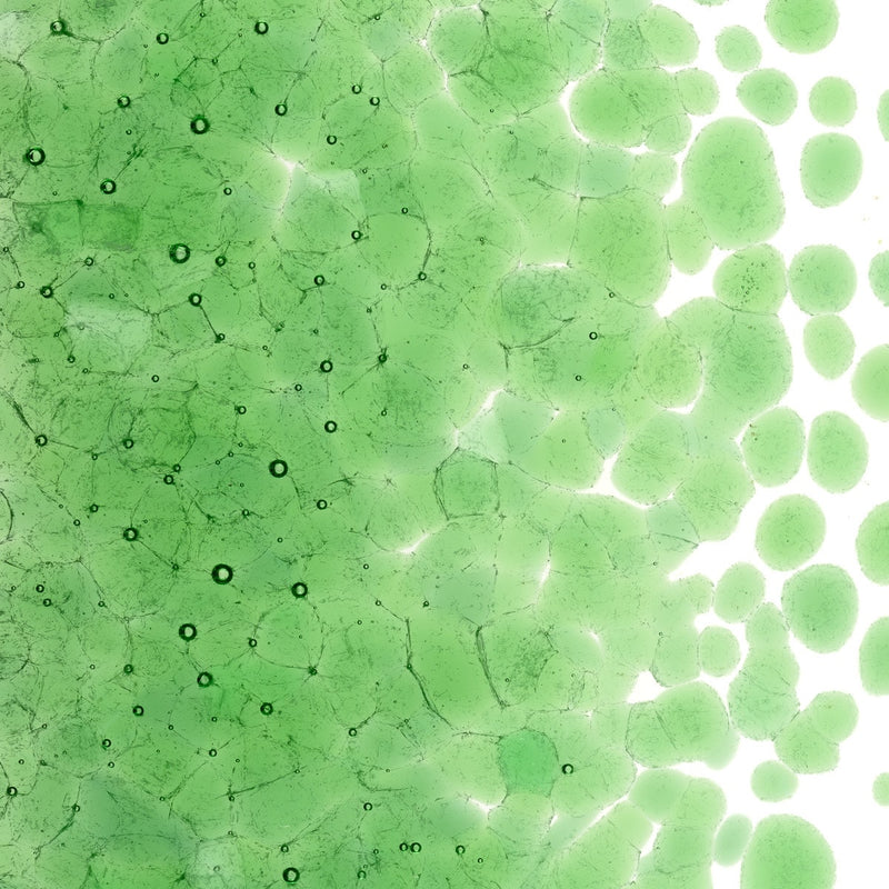 Light Green Transparent Bullseye Frit 1107