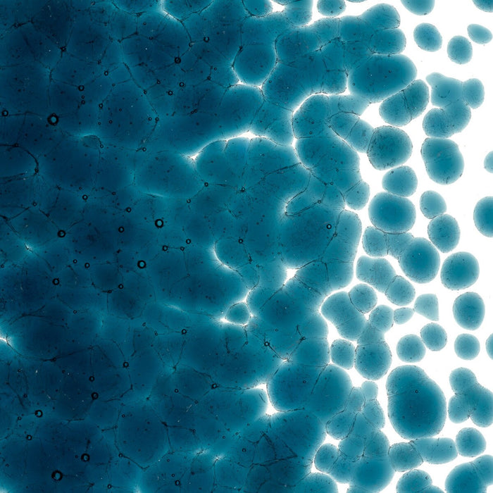 Aquamarine Blue Transparent Bullseye Coarse Frit 1108