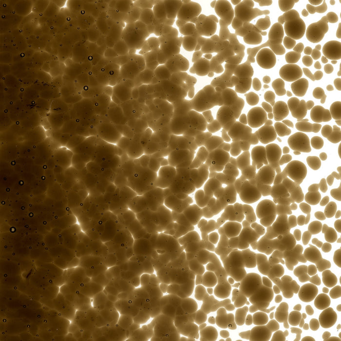 Dark Rose Brown Transparent Bullseye Medium Frit 1109