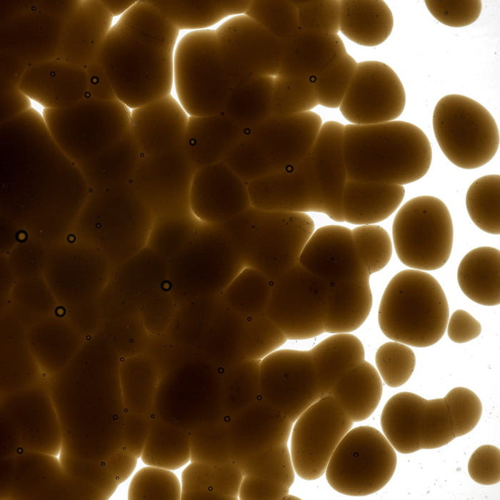 Dark Rose Brown Transparent Bullseye Coarse Frit 1109