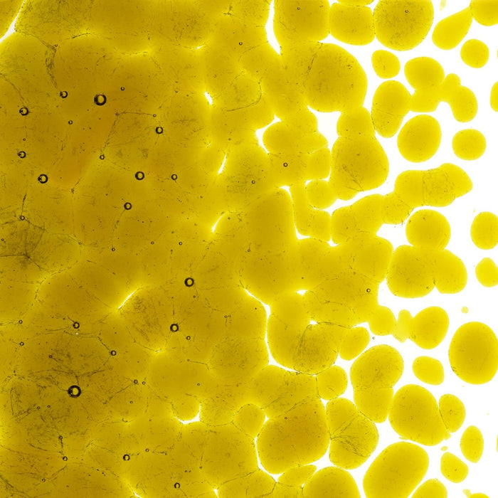 Chartreuse Green Striker Transparent Bullseye Coarse Frit 1126