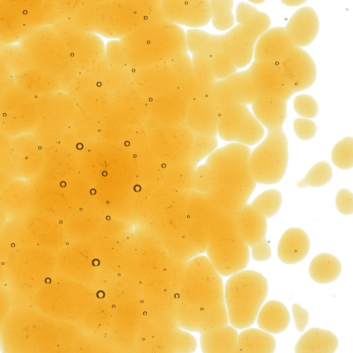 Dark Amber Striker Transparent Bullseye Coarse Frit 1138