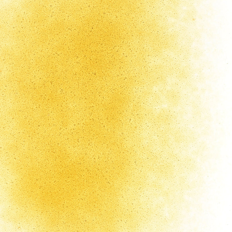 Dark Amber Striker Transparent Bullseye Powder 1138