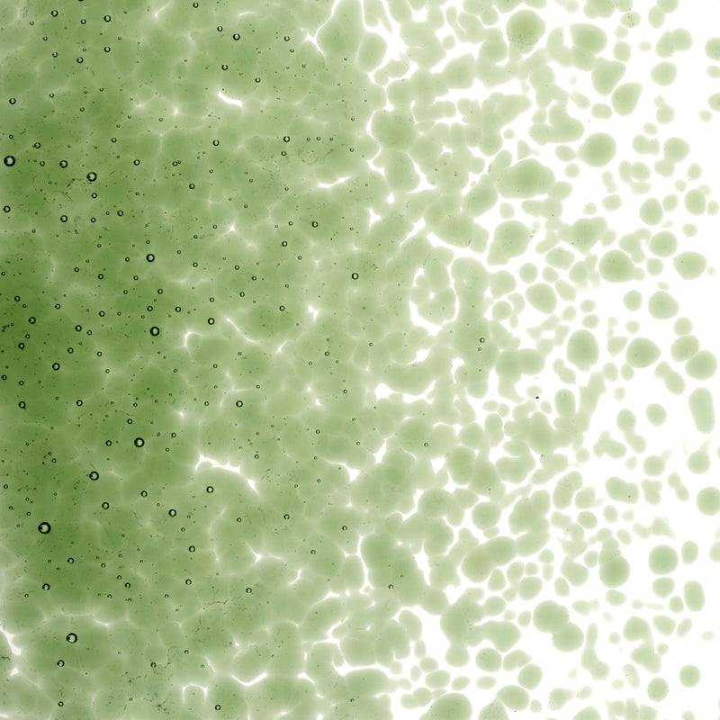 Kelly Green Transparent Bullseye Medium Frit 1145