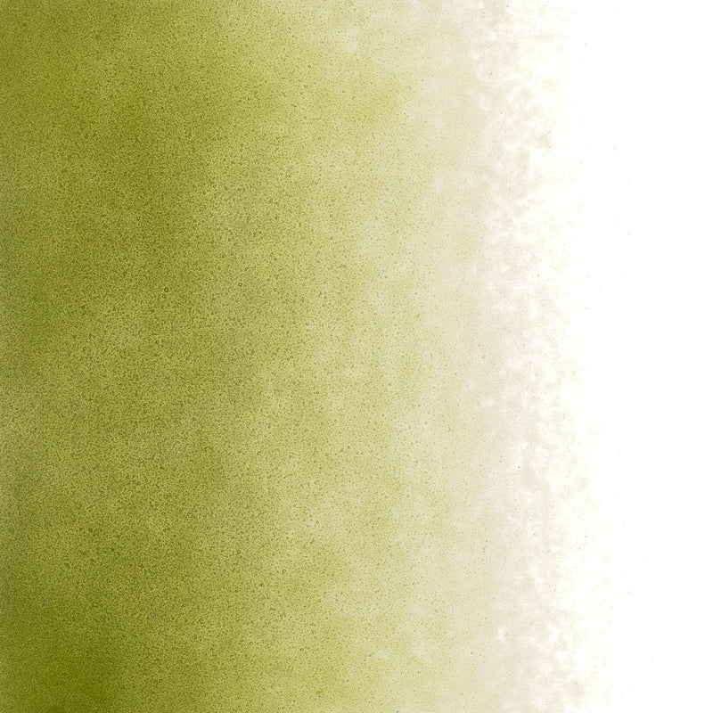 Fern Green Striker Transparent Bullseye Powder 1207