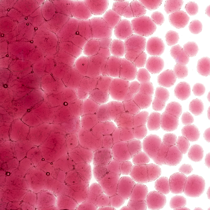 Light Pink Striker Transparent Bullseye Coarse Frit 1215