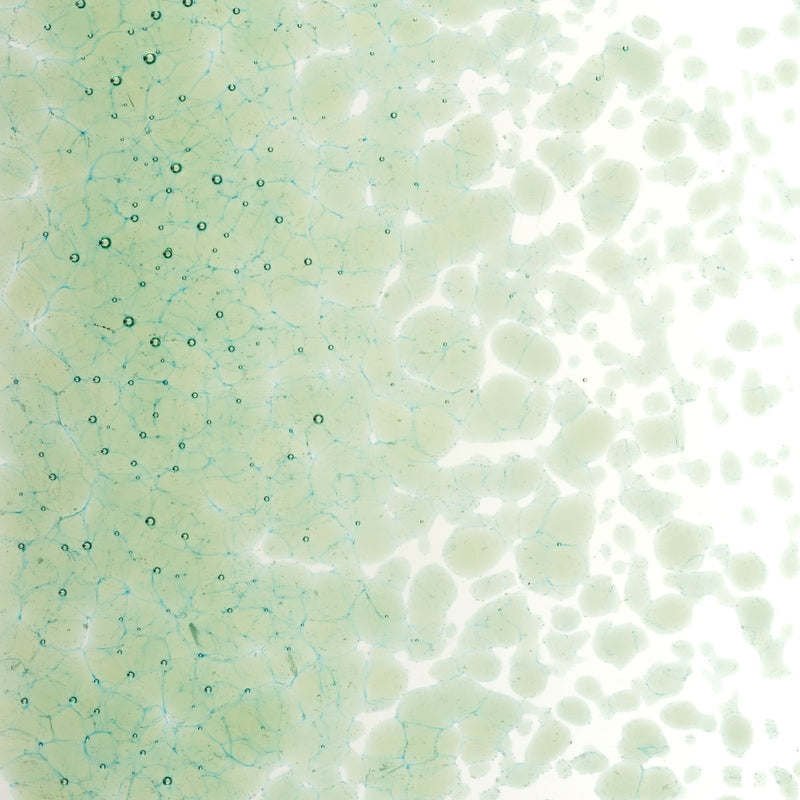 Leaf Green Transparent Bullseye Medium Frit 1217
