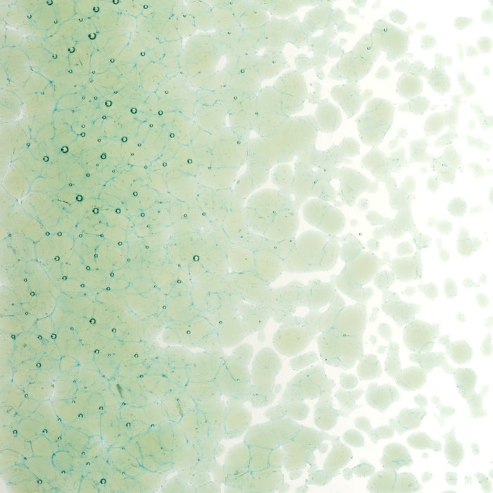 Leaf Green Transparent Bullseye Medium Frit 1217