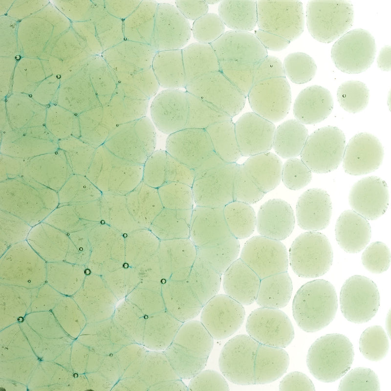 Leaf Green Transparent Bullseye Coarse Frit 1217