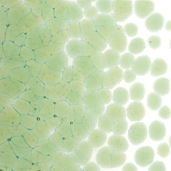 Leaf Green Transparent Bullseye Coarse Frit 1217