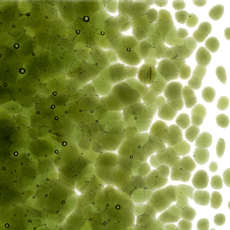 Pine Green Striker Transparent Bullseye Coarse Frit 1241