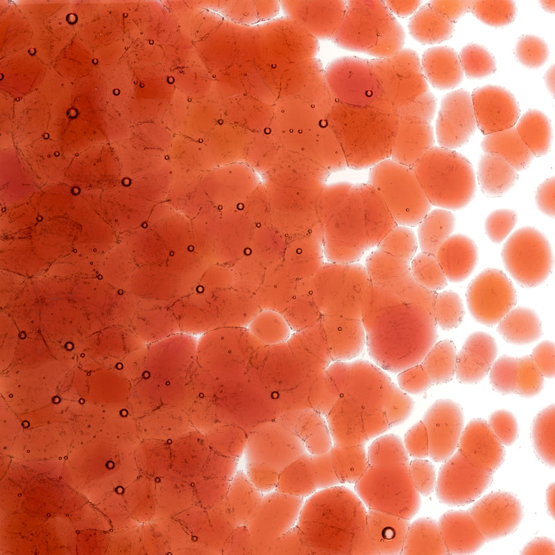 Sunset Coral Striker Transparent Bullseye Coarse Frit 1305