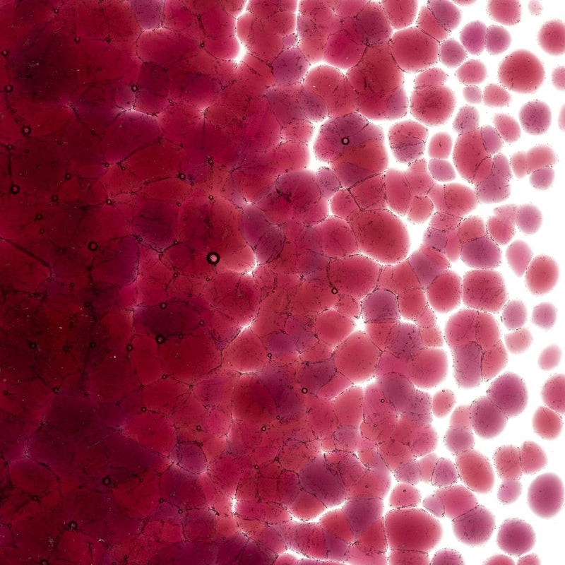 Cranberry Pink Striker Transparent Bullseye Coarse Frit 1311