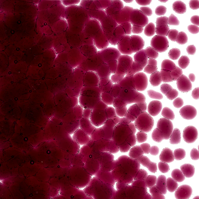 Fuchsia Striker Transparent Bullseye Coarse Frit 1332