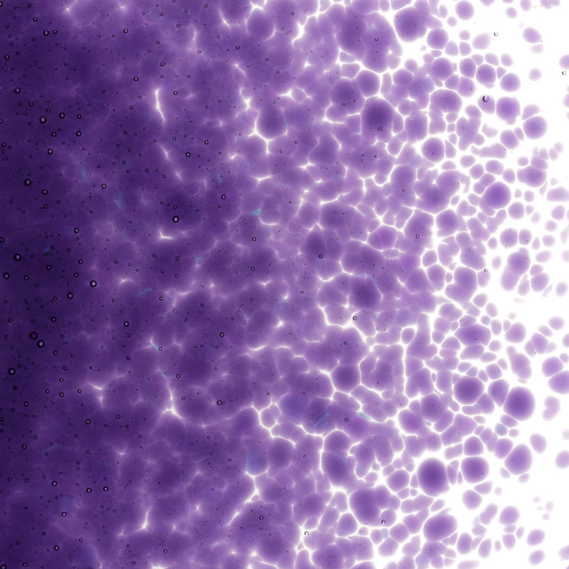 Gold Purple Striker Transparent Bullseye Medium Frit 1334