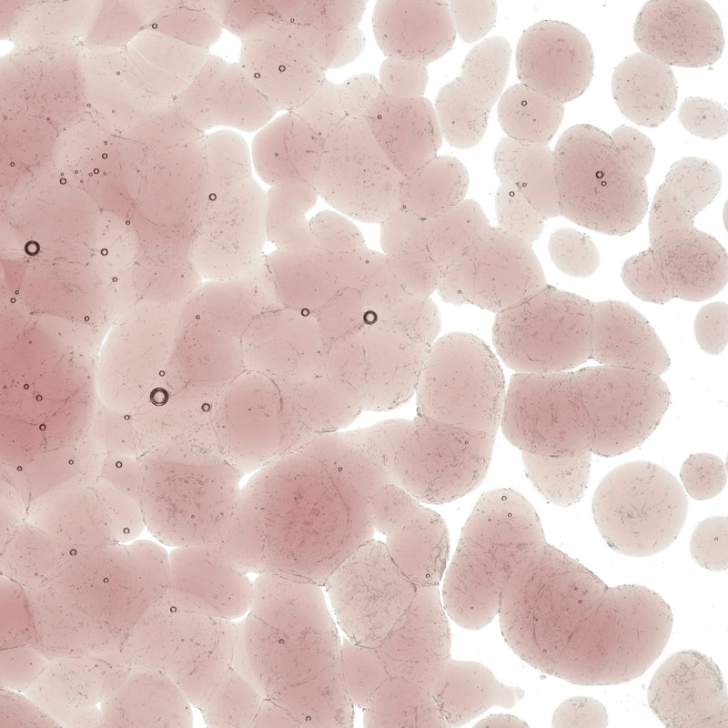 Light Plum Transparent Bullseye Coarse Frit 1405