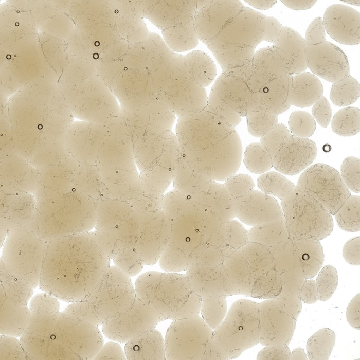 Light Bronze Transparent Bullseye Frit 1409