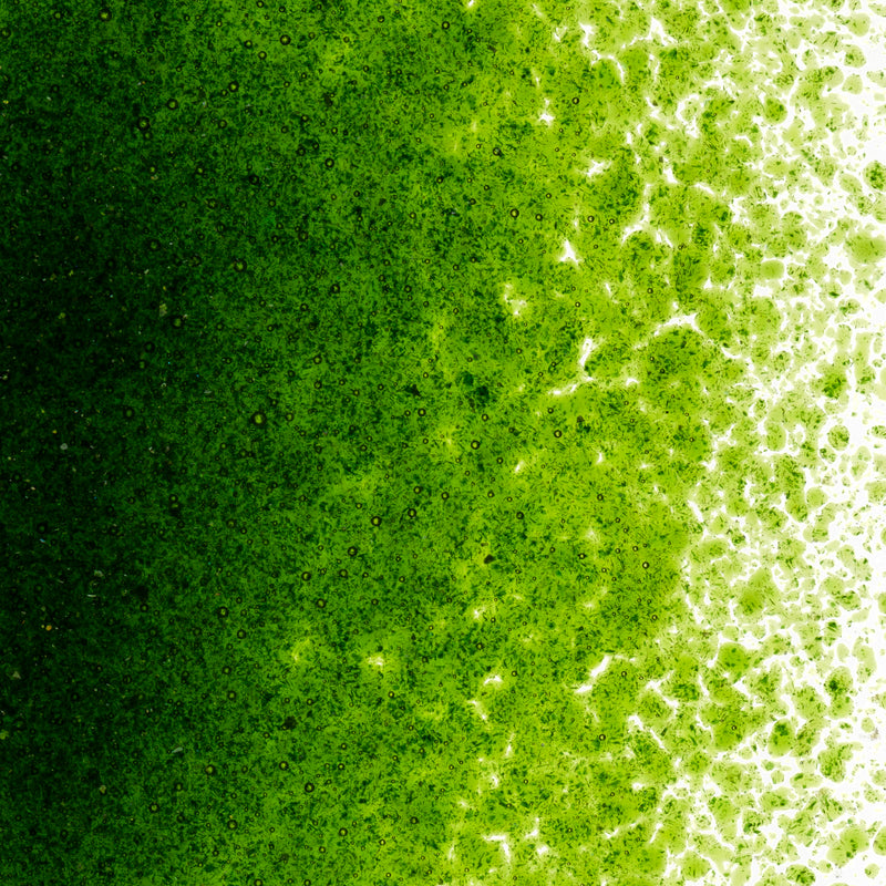 Light Aventurine Green Transparent Bullseye Fine Frit 1412