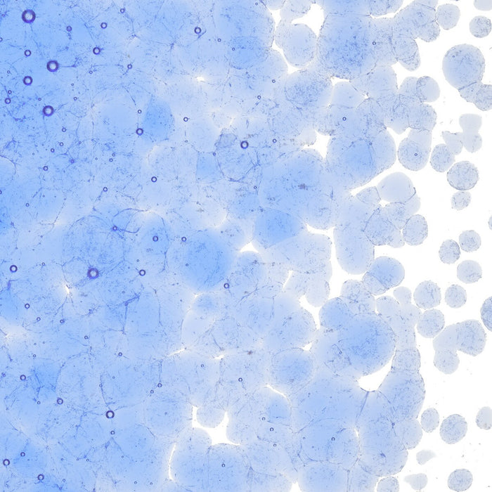 Light Sky Blue Transparent Bullseye Frit 1414