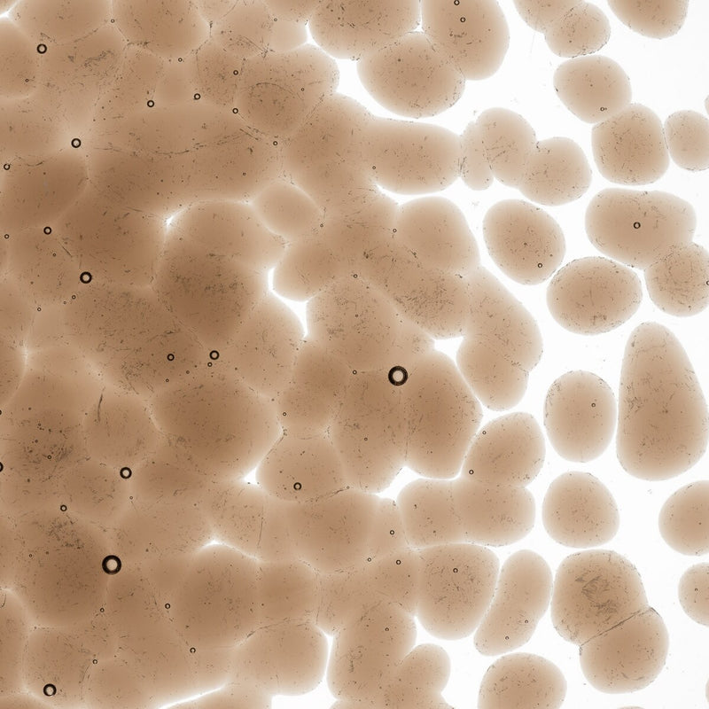 Tan Transparent Bullseye Coarse Frit 1419