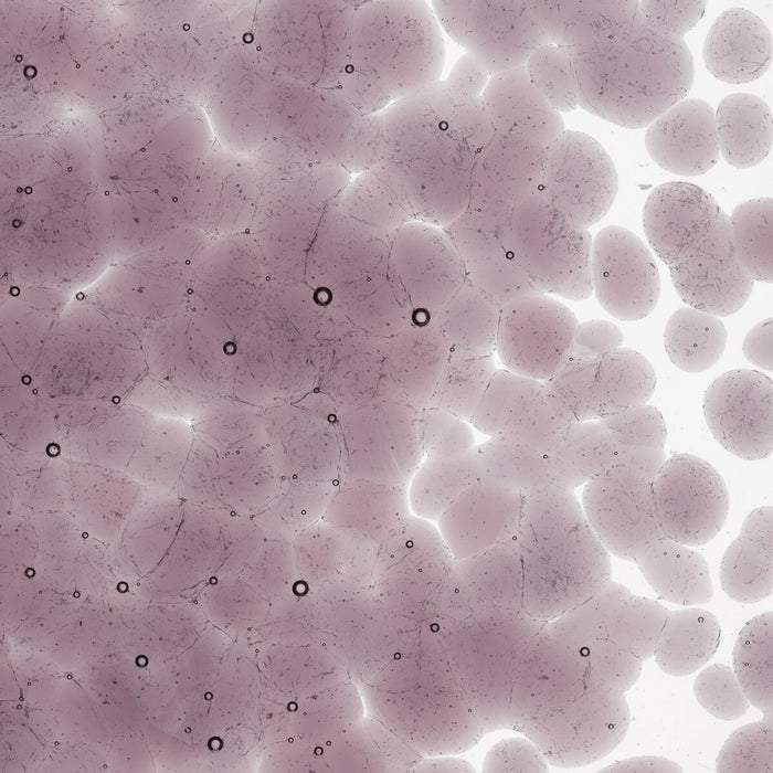 Light Violet Transparent Bullseye Coarse Frit 1428