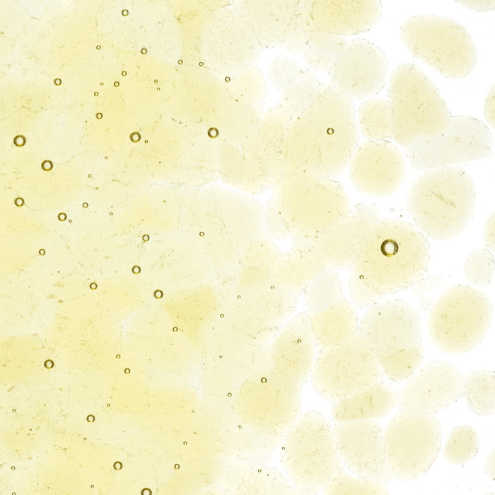 Light Amber Transparent Bullseye Coarse Frit 1437