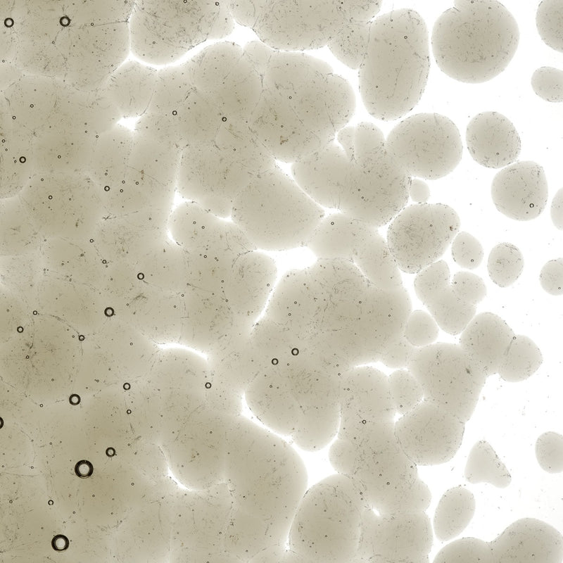 Khaki Transparent Bullseye Frit 1439