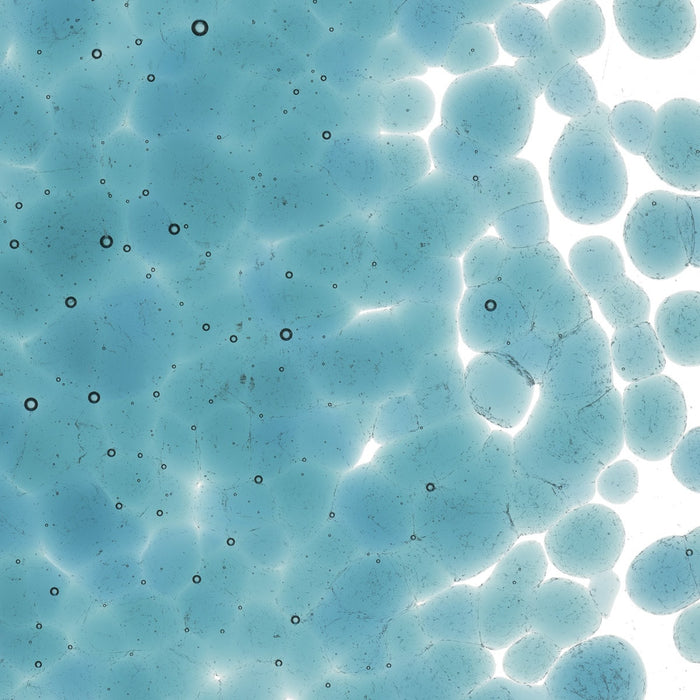 Sea Blue Transparent Bullseye Frit 1444