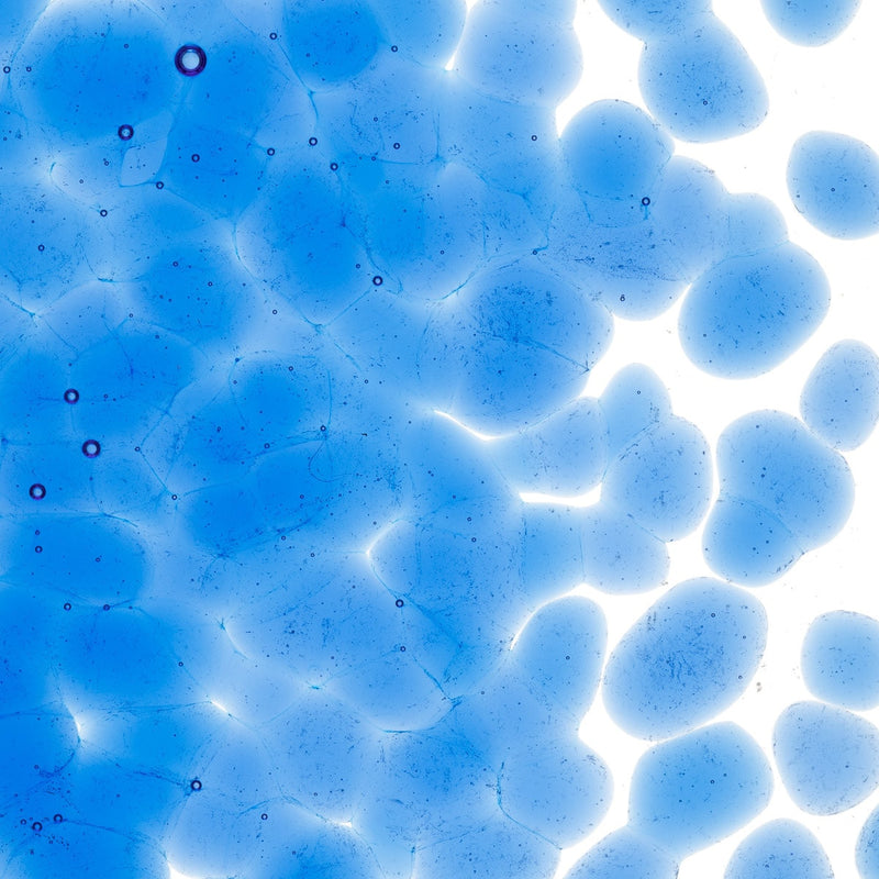 True Blue Transparent Bullseye Coarse Frit 1464