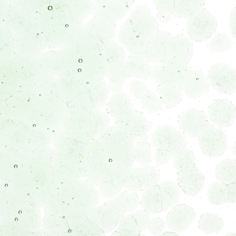 Spruce Green Tint Bullseye Coarse Frit 1841