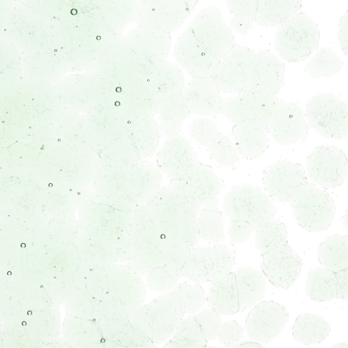 Spruce Green Transparent Tint Transparent Bullseye Frit 1841