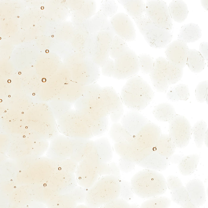 Rhubarb Shift Tint Transparent Bullseye Frit 1859