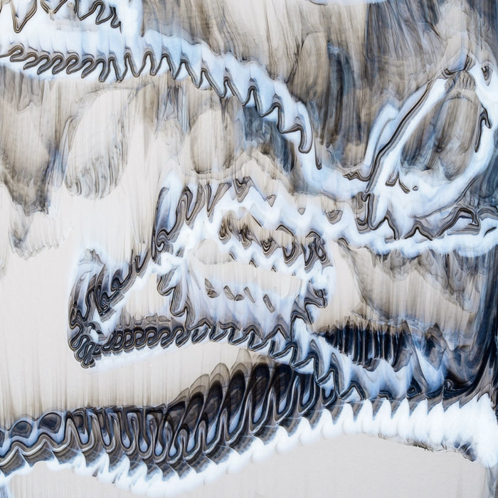 Clear, White, Black Graffiti Bullseye Sheet 3100 3MM