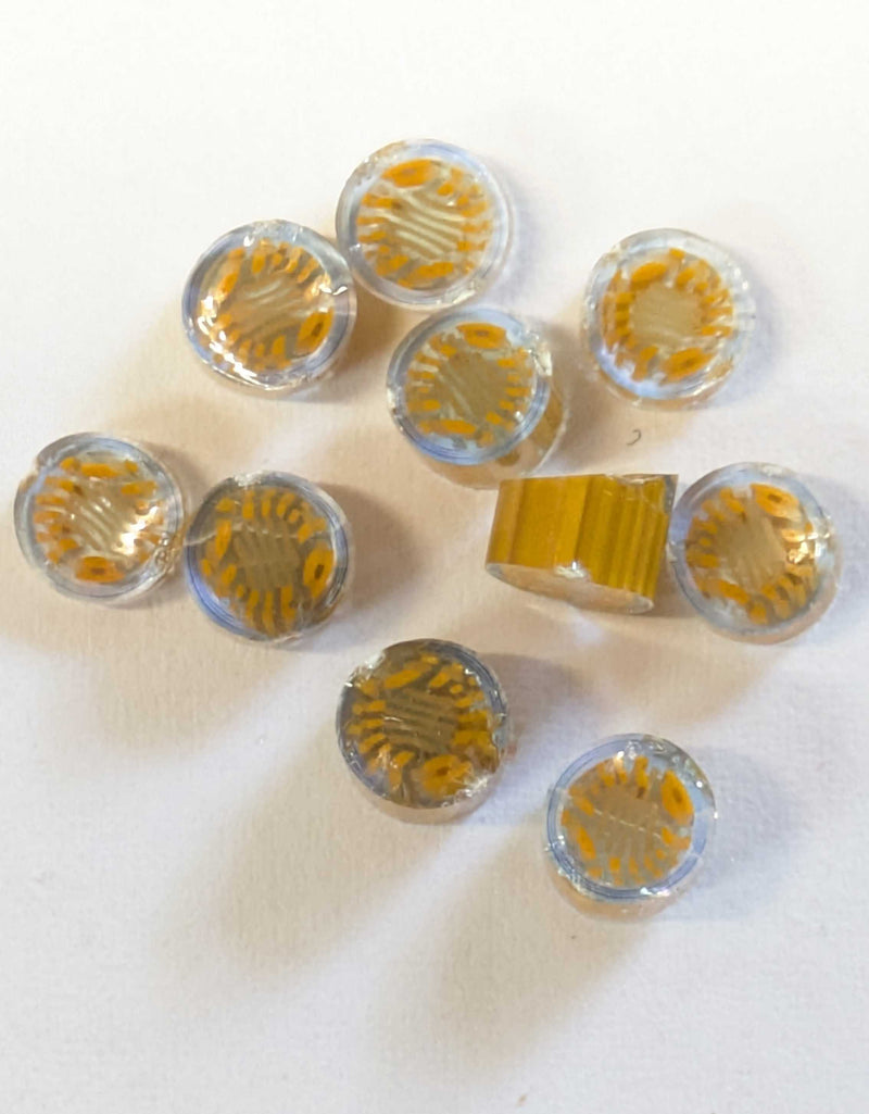 Spinifex Grass Millefiori Maherster Art Glass COE090