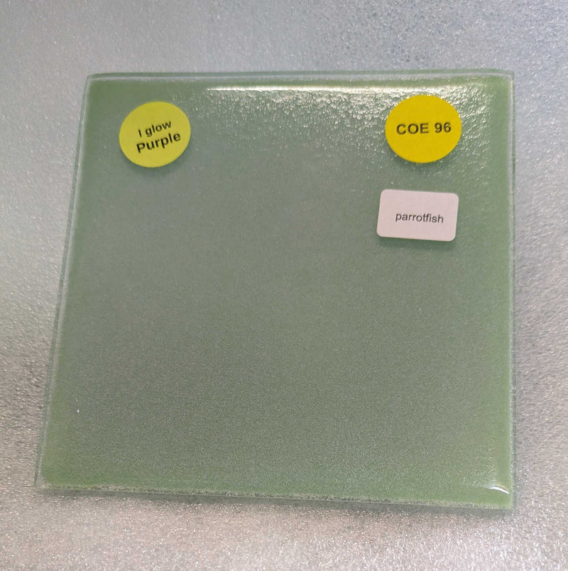 Parrot Fish Glow Glass Sheet COE096 Studio Square