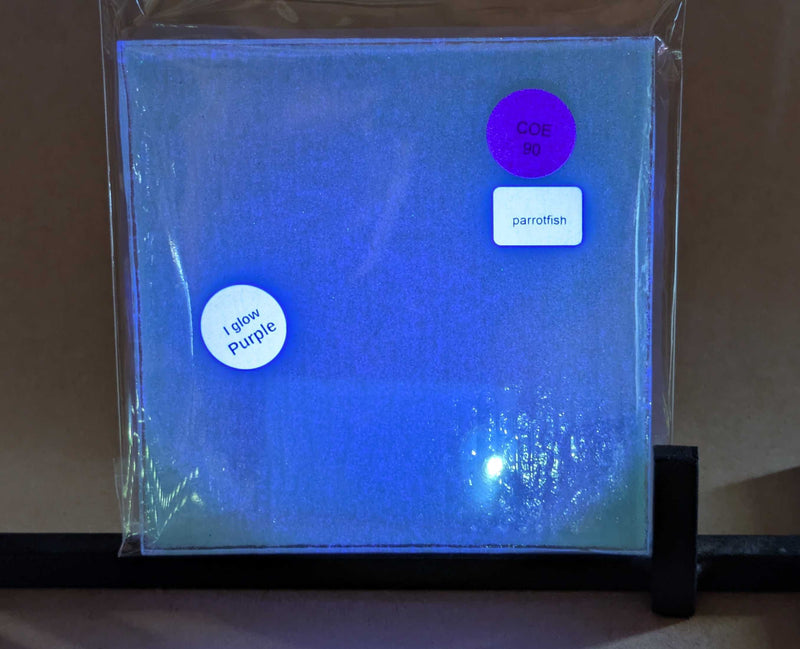 Parrotfish Glow Glass Sheet COE090 Studio Square