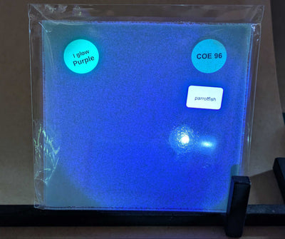 Parrot Fish Glow Glass Sheet COE096 Studio Square