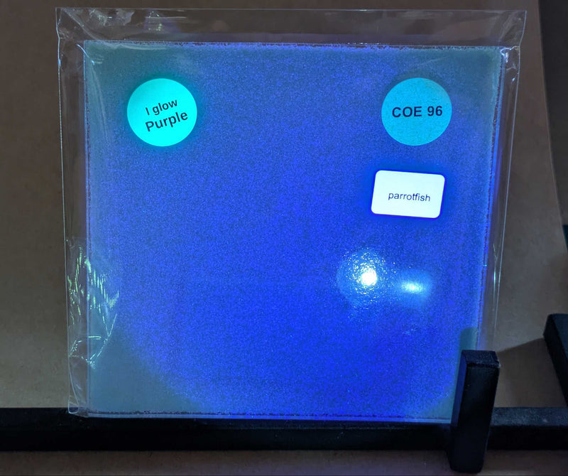 Parrot Fish Glow Glass Sheet COE096 Studio Square