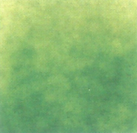 Cactus Green Transparent Thompson Enamel for Float Glass 6340