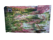 6343 with Light behind it