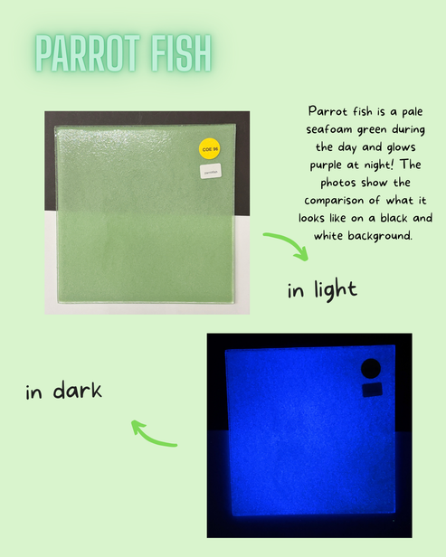 Parrot Fish Glow Glass Sheet COE096 Studio Square