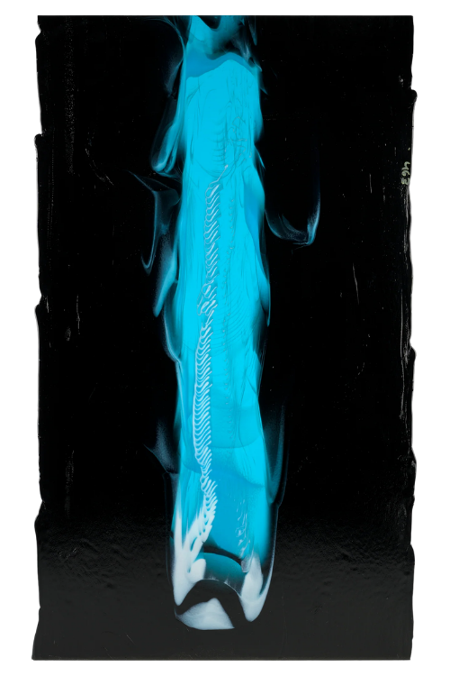 White, Turquoise Double Cascade Bullseye Sheet 51105A