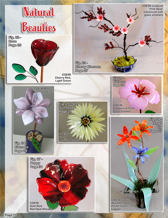 Fused Glass Flowers Book